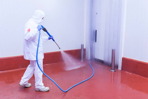 Best Driveway Pressure Washing  in Monsey, NY