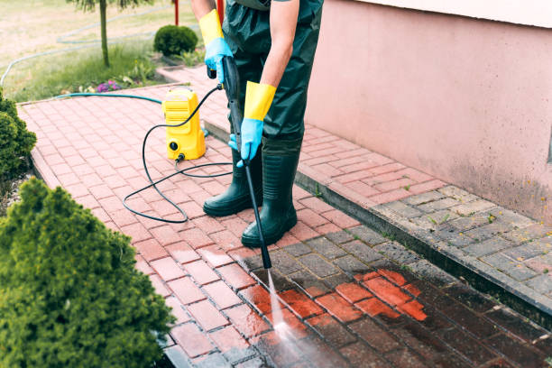Best Dumpster Area Cleaning  in Monsey, NY